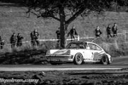 46.-nibelungenring-rallye-2013-rallyelive.com-9569.jpg